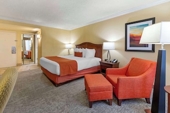 Standard Room, 1 King Bed, Pool View, Courtyard Area