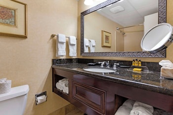 Suite, 1 King Bed, Accessible, Refrigerator & Microwave (Walk-in Shower;with Sofabed)