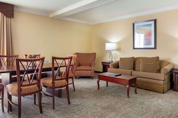Suite, 1 King Bed, Accessible, Refrigerator & Microwave (Walk-in Shower;with Sofabed)