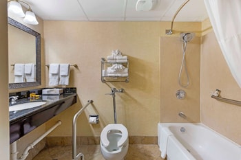 Standard Room, 2 Double Beds, Accessible, Bathtub