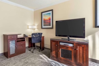 Suite, 1 King Bed, Accessible, Refrigerator & Microwave (Walk-in Shower;with Sofabed)