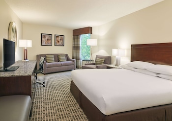 Room, 1 King Bed, Non Smoking (Extended Sitting Area)