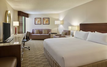 Room, 1 King Bed, Non Smoking (Extended Sitting Area)