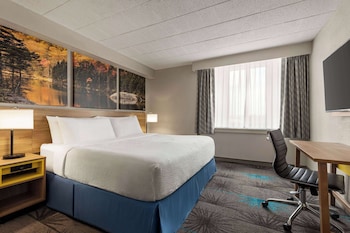 Business Room, 1 King Bed