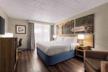 Standard Room, 1 King Bed