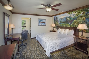 Standard Room, 1 King Bed, Accessible, Bathtub