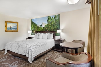 Standard Room, 1 King Bed, Accessible, Bathtub