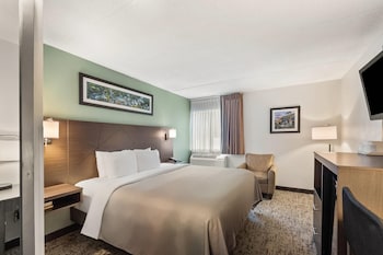 Standard Room, 1 King Bed, Non Smoking
