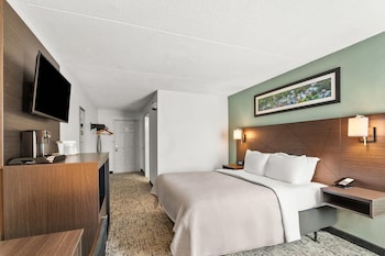 Room, 1 Queen Bed, Accessible, Non Smoking