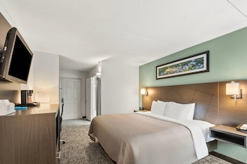 Standard Room, 1 King Bed, Non Smoking