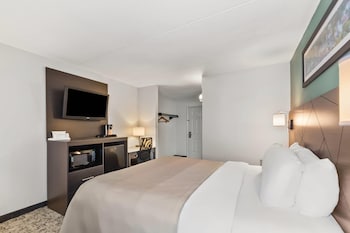 Standard Room, 1 King Bed, Non Smoking