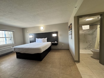 Room, 1 King Bed, Non Smoking