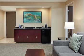 Room, 1 King Bed, Accessible, Bathtub
