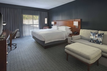 Room, 1 King Bed with Sofa bed, Courtyard View