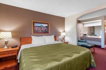 Standard Room, 1 King Bed, Non Smoking