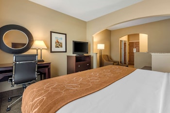 Suite, 1 King Bed with Sofa bed, Accessible, Non Smoking