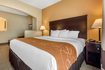 Suite, 1 King Bed with Sofa bed, Accessible, Non Smoking