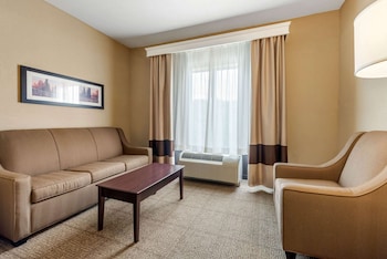 Suite, 1 King Bed with Sofa bed, Accessible, Non Smoking
