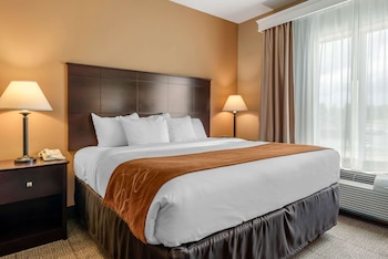 Suite, 1 King Bed with Sofa bed, Accessible, Non Smoking