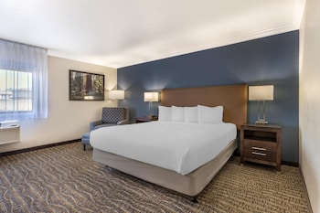 Standard Room, 1 King Bed, Accessible, Non Smoking