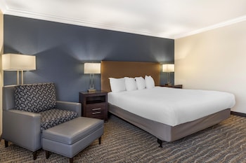 Standard Room, 1 King Bed, Accessible, Non Smoking