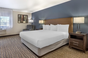 Standard Room, 1 King Bed, Non Smoking, Refrigerator & Microwave