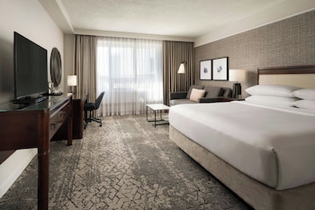 Room, 1 King Bed with Sofa bed