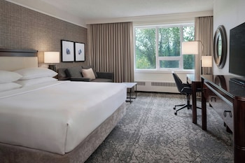 Room, 1 King Bed with Sofa bed, Park View