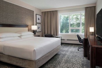 Classic Room, 1 King Bed, Park View