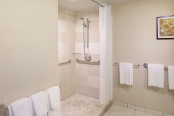 Room, 1 King Bed, City View (Roll-in Shower)