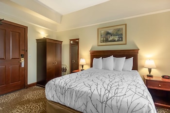 Standard Room, 1 Queen Bed, Non Smoking (Small Room)