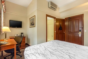 Standard Room, 1 Queen Bed, Non Smoking (Small Room)