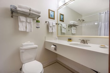 Standard Room, 1 King Bed, Non Smoking (Larger Room;with Sofabed)