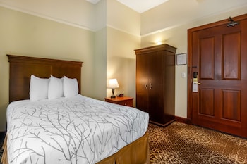 Standard Room, 1 Double Bed, Accessible, Non Smoking