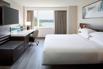 Suite, 1 King Bed
