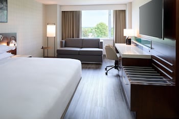 Room, 1 King Bed with Sofa bed