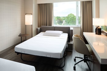 Room, 1 King Bed with Sofa bed