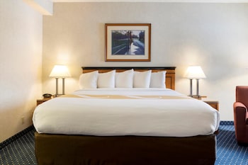 Room, 1 King Bed, Accessible, Non Smoking