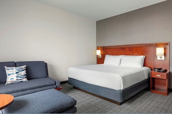 Room, 1 King Bed with Sofa bed