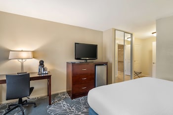 Standard Room, 1 King Bed, Accessible, Bathtub