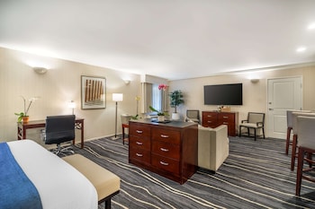 Suite, 1 King Bed, Non Smoking, Refrigerator & Microwave (Oversized Room;with Sofabed)