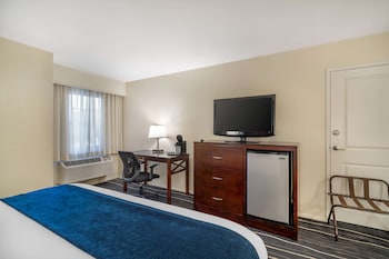 Standard Room, 1 King Bed, Non Smoking, Refrigerator