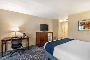 Standard Room, 1 King Bed, Refrigerator, Courtyard Area