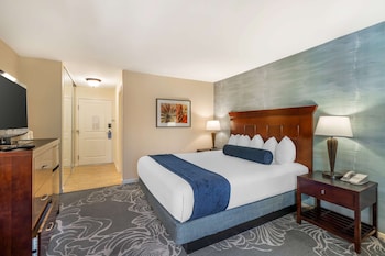 Standard Room, 1 King Bed, Refrigerator, Courtyard Area
