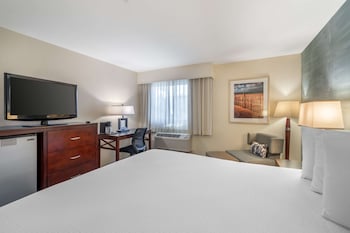 Standard Room, 1 King Bed, Accessible, Non Smoking