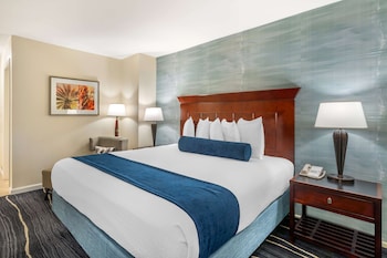 Standard Room, 1 King Bed, Non Smoking, Refrigerator
