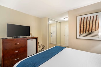 Standard Room, 1 Queen Bed, Refrigerator, Courtyard Area