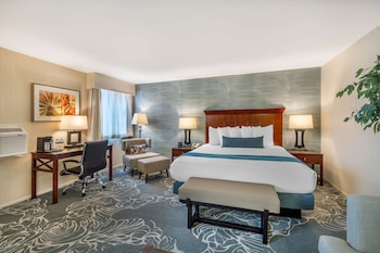 Suite, 1 King Bed, Non Smoking, Refrigerator