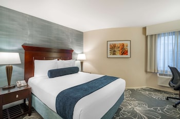 Standard Room, 1 Queen Bed, Refrigerator, Courtyard Area