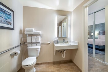 Standard Room, 1 King Bed, Accessible, Bathtub